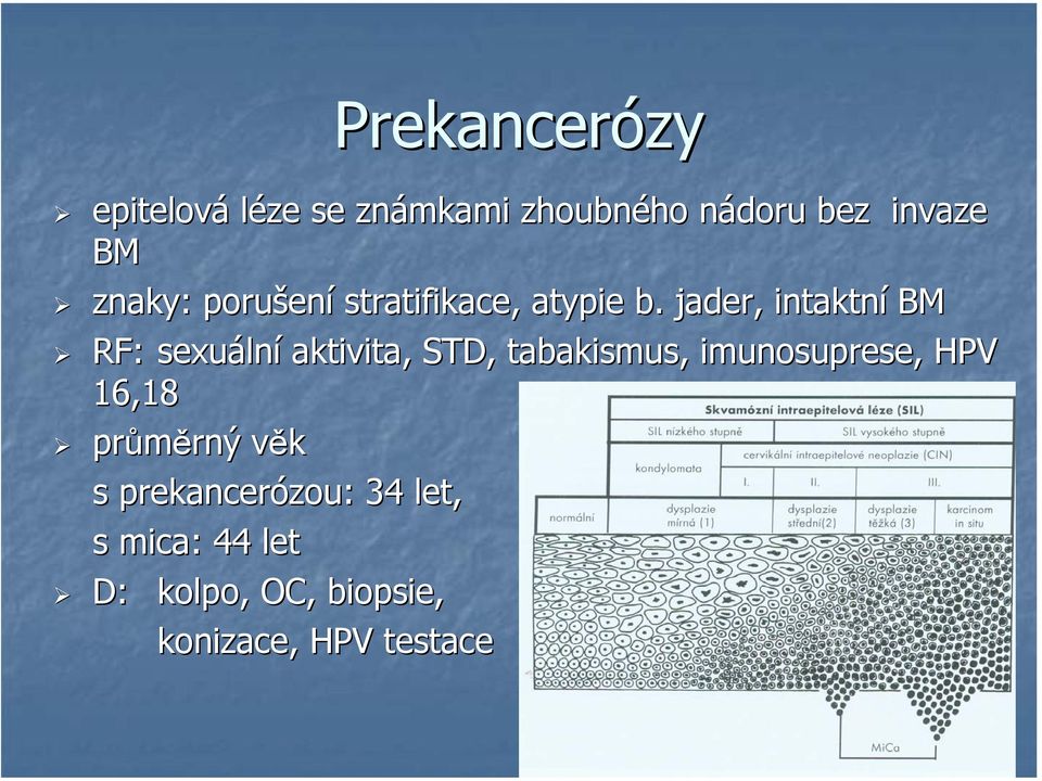 jader, intaktní BM RF: sexuáln lní aktivita, STD, tabakismus, imunosuprese,,