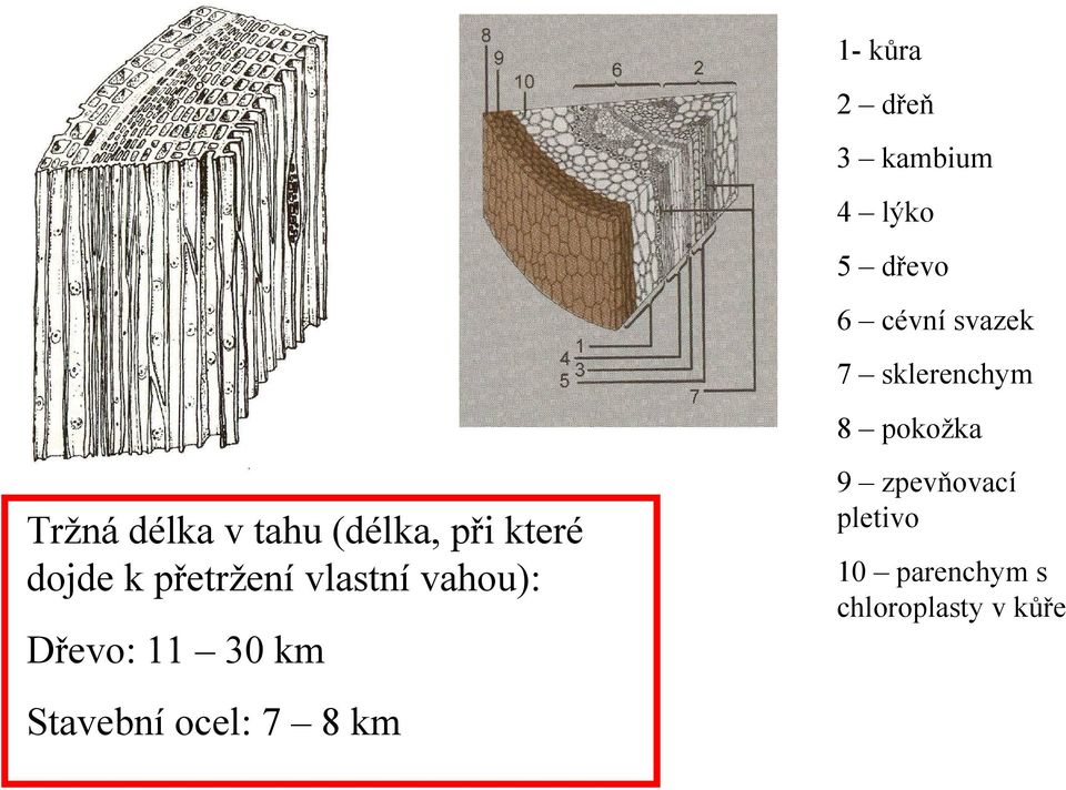 dojde k přetržení vlastní vahou): Dřevo: 11 30 km Stavební