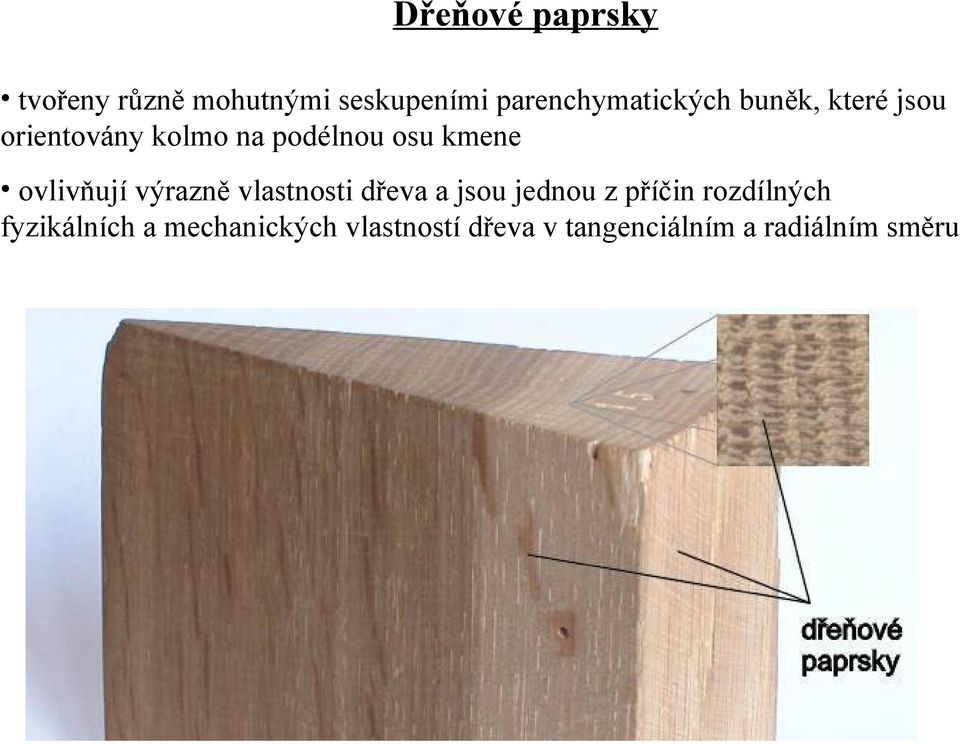 osu kmene ovlivňují výrazně vlastnosti dřeva a jsou jednou z příčin