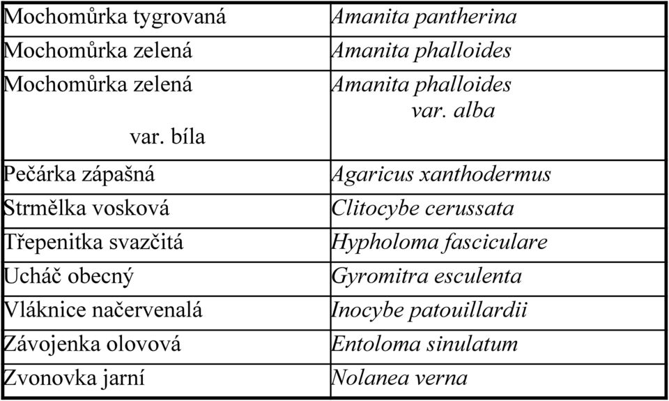 bíla Pečárka zápašná Strmělka vosková Třepenitka svazčitá Ucháč obecný Vláknice načervenalá