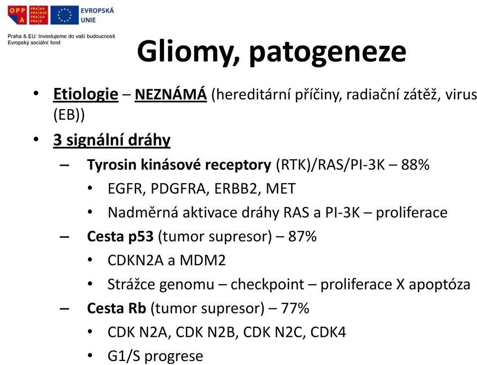 dráhy RAS a PI-3K proliferace Cesta p53 (tumor supresor) 87% CDKN2A a MDM2 Strážce genomu