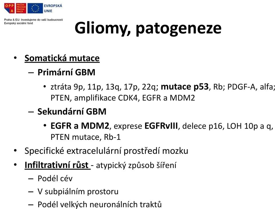 delece p16, LOH 10p a q, PTEN mutace, Rb-1 Specifické extracelulární prostředí mozku