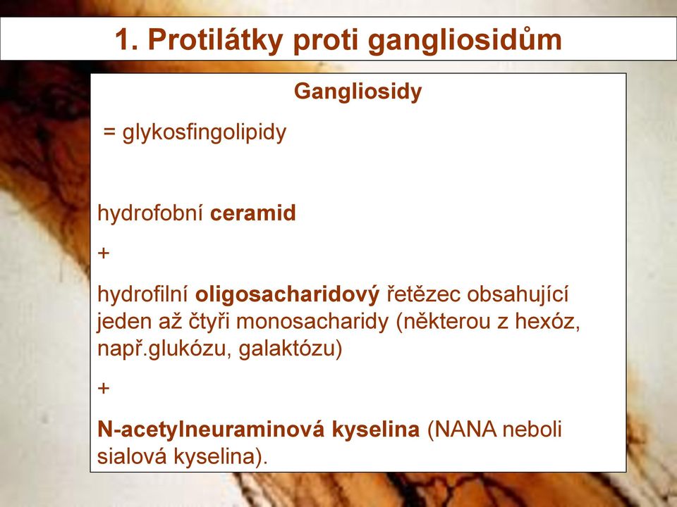 jeden až čtyři monosacharidy (některou z hexóz, např.