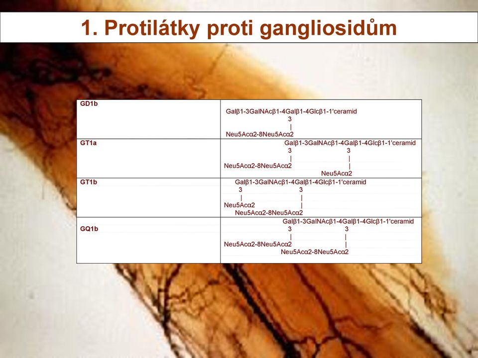 Neu5Acα2-8Neu5Acα2 Neu5Acα2 GT1b Galβ1-3GalNAcβ1-4Galβ1-4Glcβ1-1'ceramid 3 3
