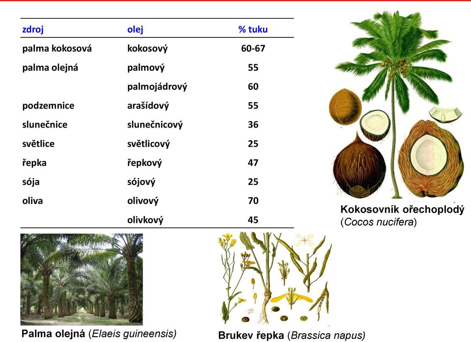 světlicový 25 řepka řepkový 47 sója sójový 25 oliva olivový 70 olivkový 45