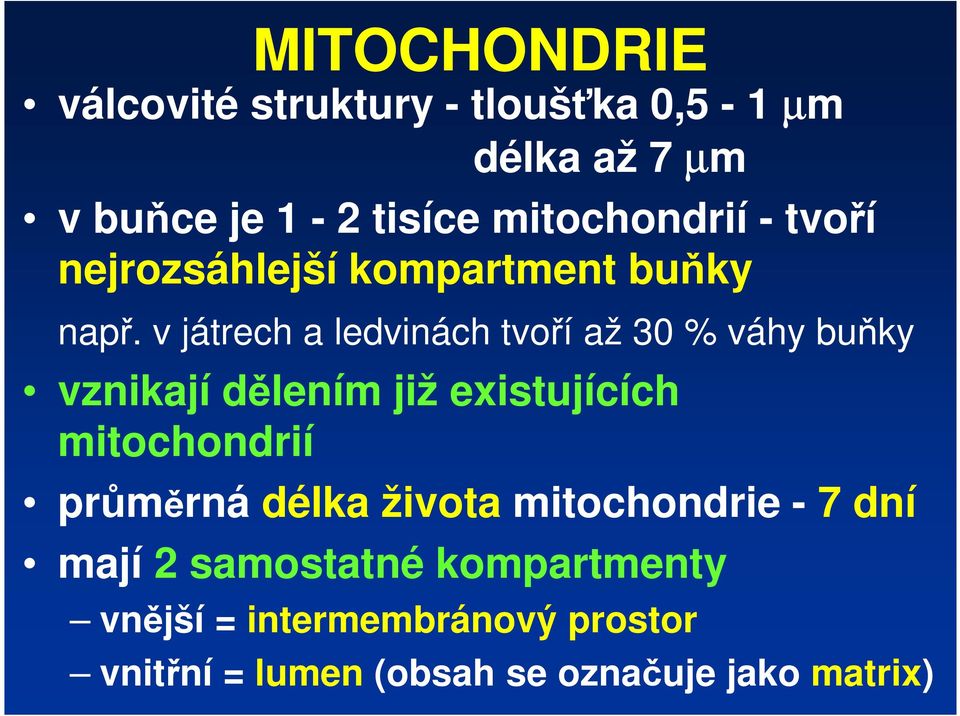 v játrech a ledvinách tvoří až 30 % váhy buňky vznikají dělením již existujících mitochondrií