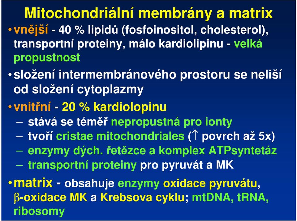 téměř nepropustná pro ionty tvoří cristae mitochondriales ( povrch až 5x) enzymy dých.