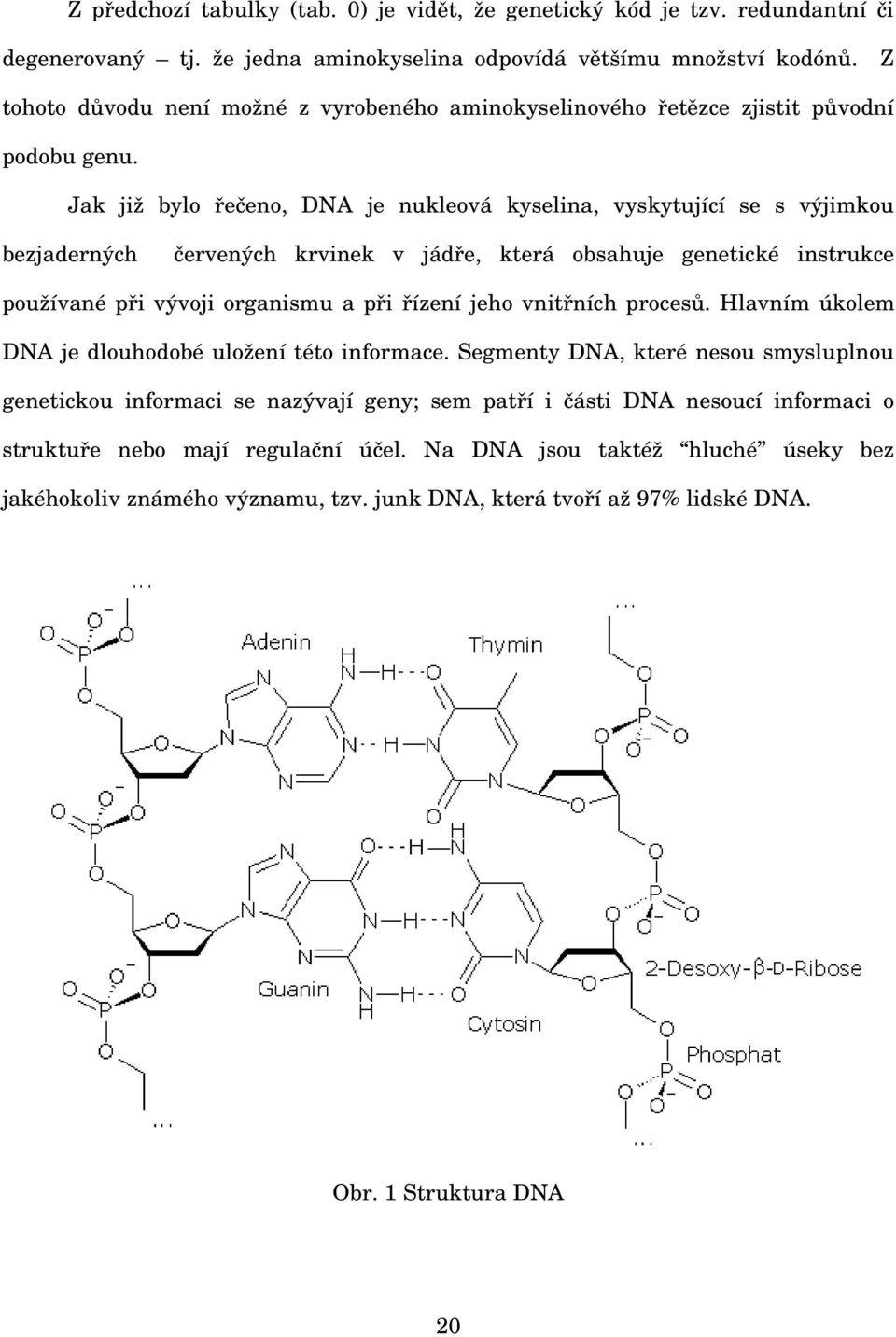 Jak již bylo řečeno, DNA je nukleová kyselina, vyskytující se s výjimkou bezjaderných červených krvinek v jádře, která obsahuje genetické instrukce používané při vývoji organismu a při řízení jeho