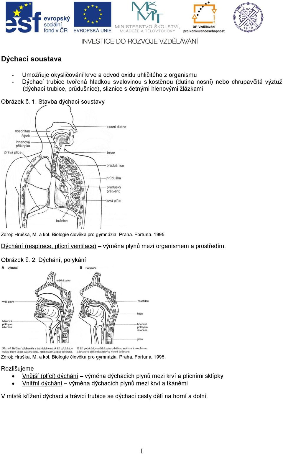 1: Stavba dýchací soustavy Dýchání (respirace, plícní ventilace) výměna plynů mezi organismem a prostředím. Obrázek č.