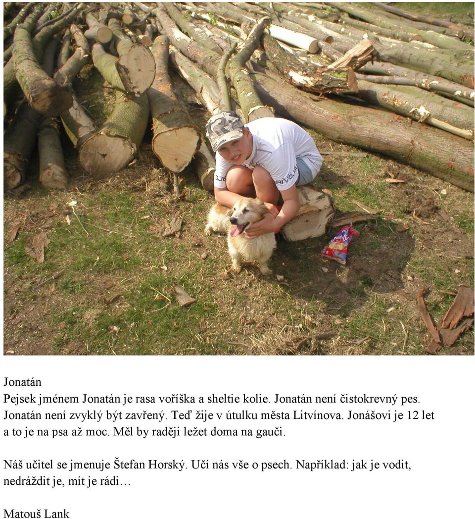 Teď žije v útulku města Litvínova. Jonášovi je 12 let a to je na psa až moc.