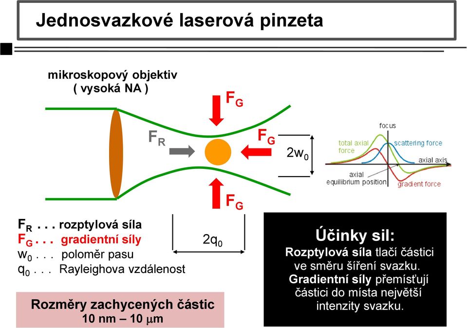 .. Rayleighova vzdálenost 2q 0 Rozměry zachycených částic 10 nm 10 mm Účinky sil: