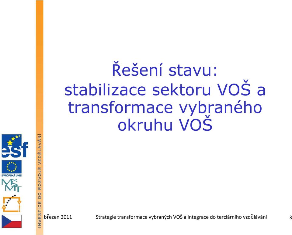 2011 Strategie transformace vybraných