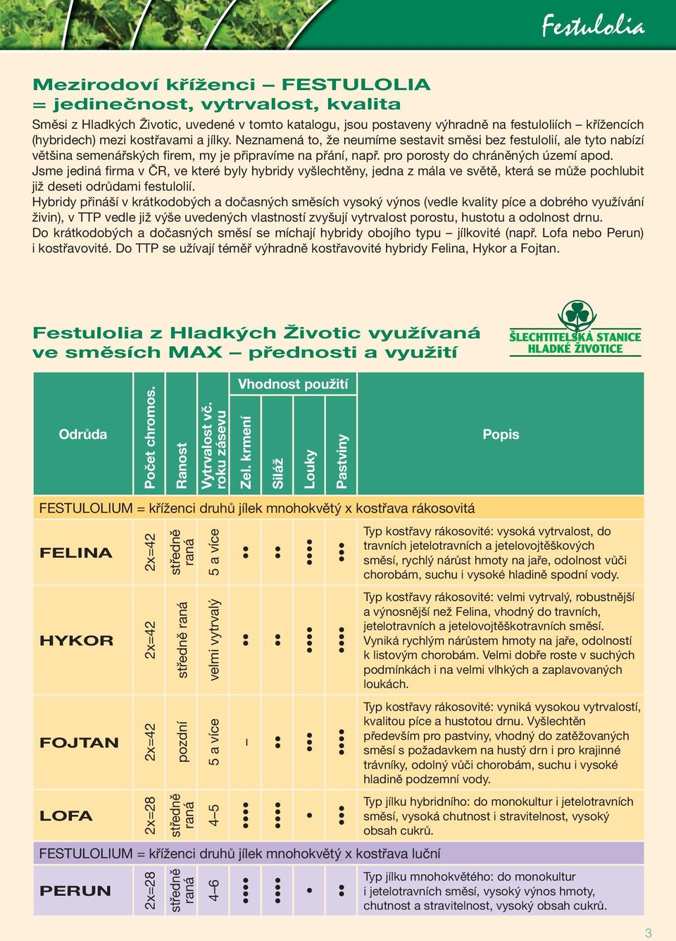Jsme jediná firma v ČR, ve které byly hybridy vyšlechtěny, jedna z mála ve světě, která se může pochlubit již deseti odrůdami festulolií.