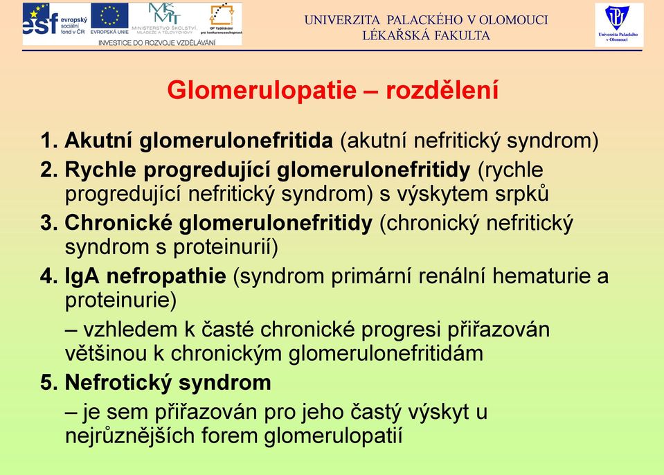 Chronické glomerulonefritidy (chronický nefritický syndrom s proteinurií) 4.