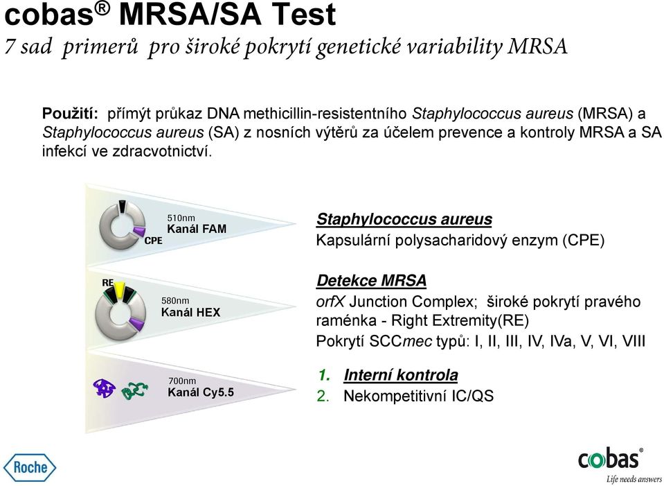 CPE 510nm Kanál FAM Staphylococcus aureus Kapsulární polysacharidový enzym (CPE) RE 580nm Kanál HEX 700nm Kanál Cy5.