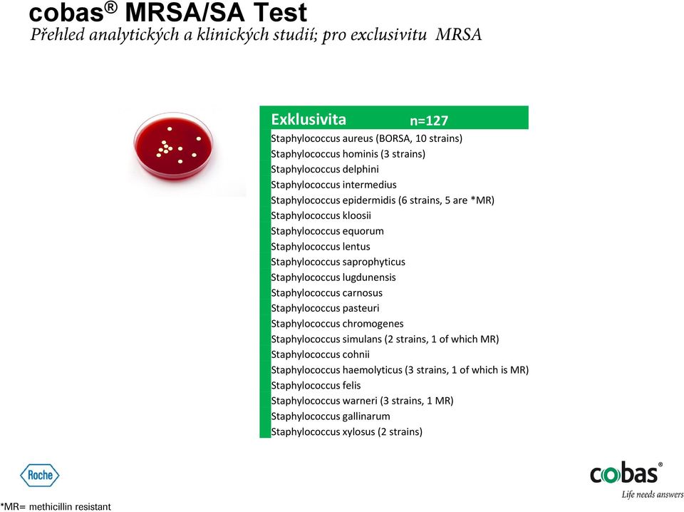 saprophyticus Staphylococcus lugdunensis Staphylococcus carnosus Staphylococcus pasteuri Staphylococcus chromogenes Staphylococcus simulans (2 strains, 1 of which MR) Staphylococcus cohnii