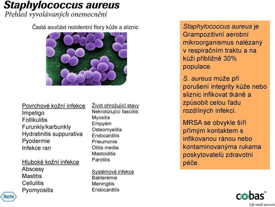 Parotitis Systémové infekce Bakterémie Meningitis Endocarditis Staphylococcus aureus je Grampozitivní aerobní mikroorganismus nalézaný v respiračním traktu a na kůži přibližně 30% populace. S. aureus může při porušení integrity kůže nebo sliznic infikovat tkáně a způsobit celou řadu rozdílných infekcí.