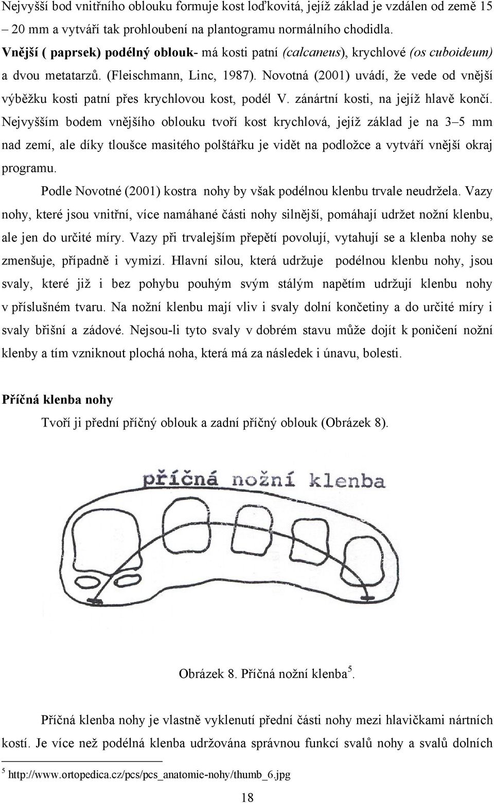 Novotná (2001) uvádí, ţe vede od vnější výběţku kosti patní přes krychlovou kost, podél V. zánártní kosti, na jejíţ hlavě končí.