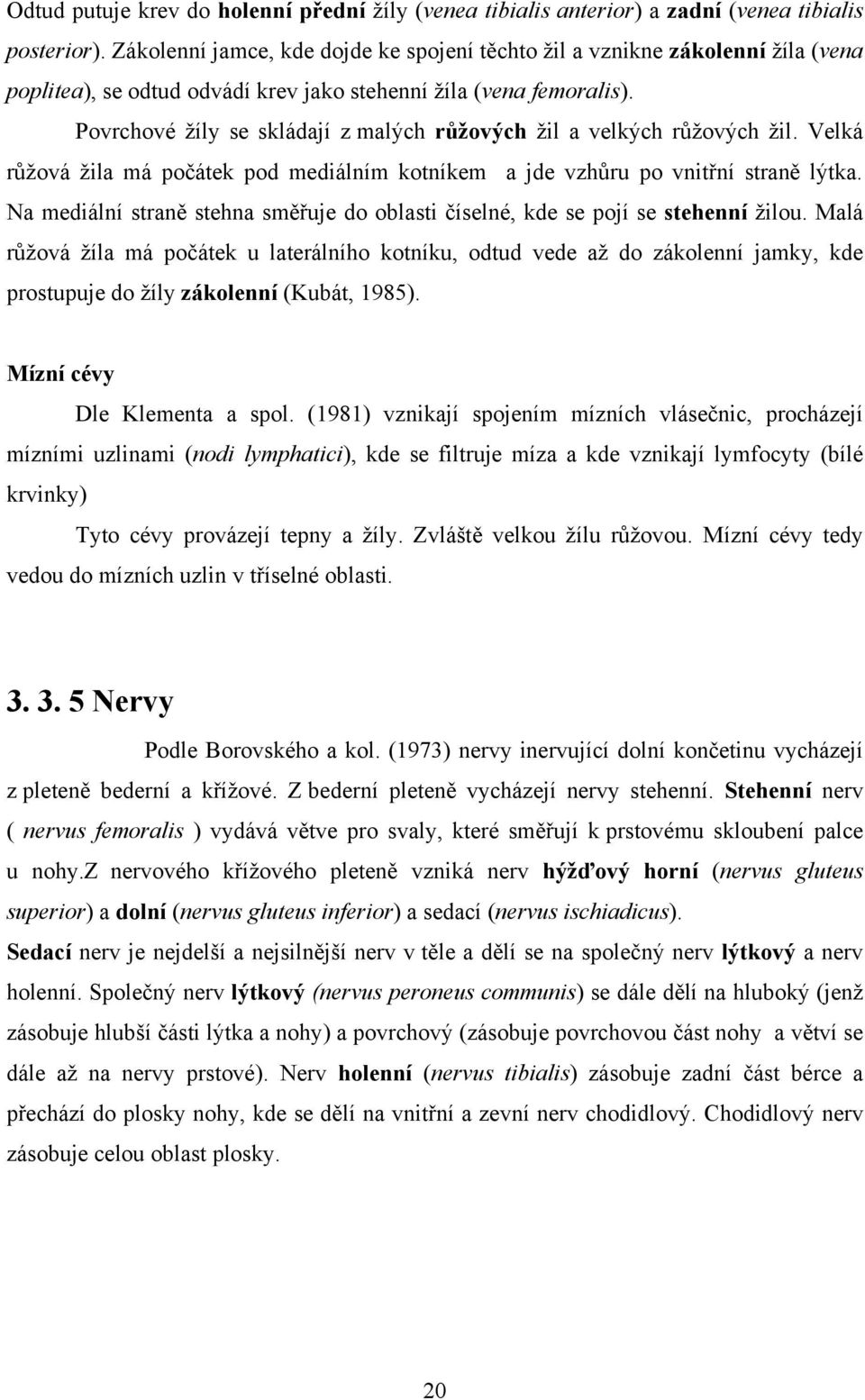 Povrchové ţíly se skládají z malých růţových ţil a velkých růţových ţil. Velká růţová ţila má počátek pod mediálním kotníkem a jde vzhůru po vnitřní straně lýtka.