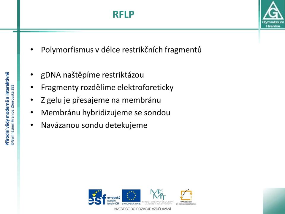 elektroforeticky Z gelu je přesajeme na membránu