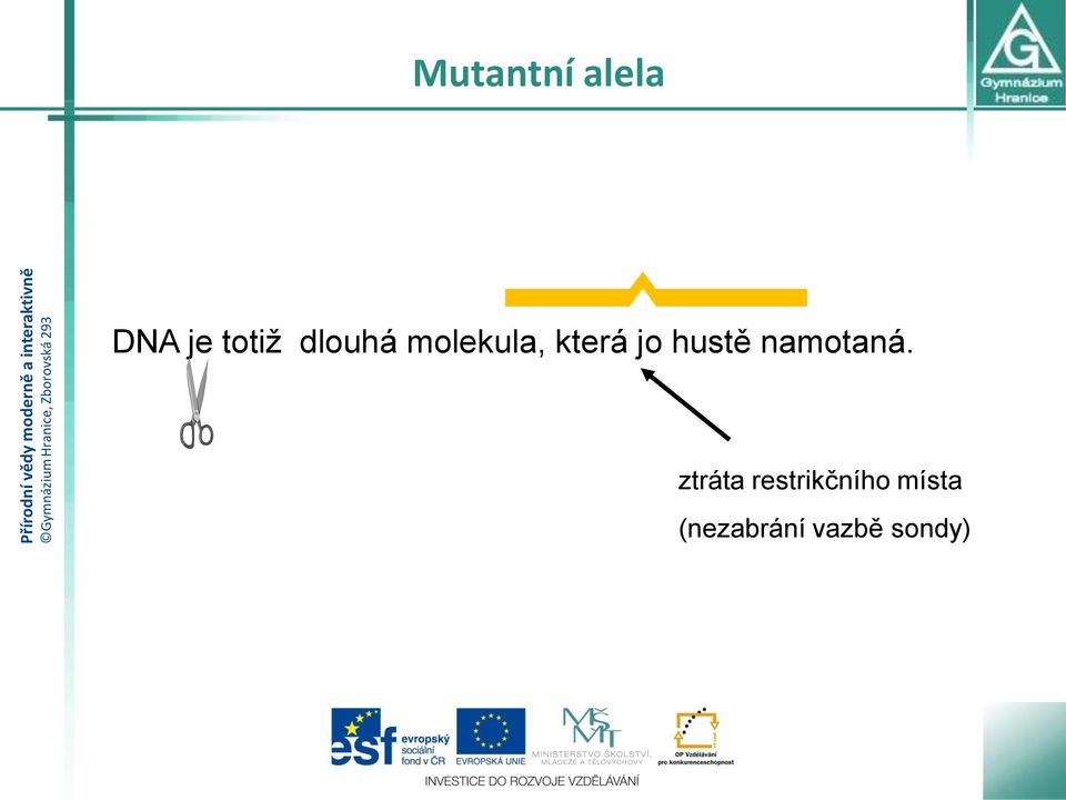 hustě namotaná.