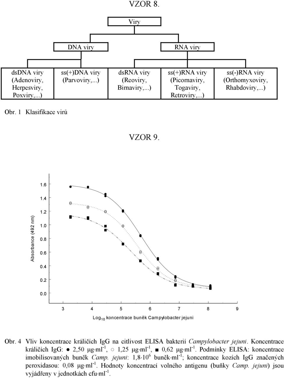 0 3 4 5 6 7 8 9 Log 10 koncentrace buněk Campylobacter jejuni Obr. 4 Vliv koncentrace králičích IgG na citlivost ELISA bakterií Campylobacter jejuni.