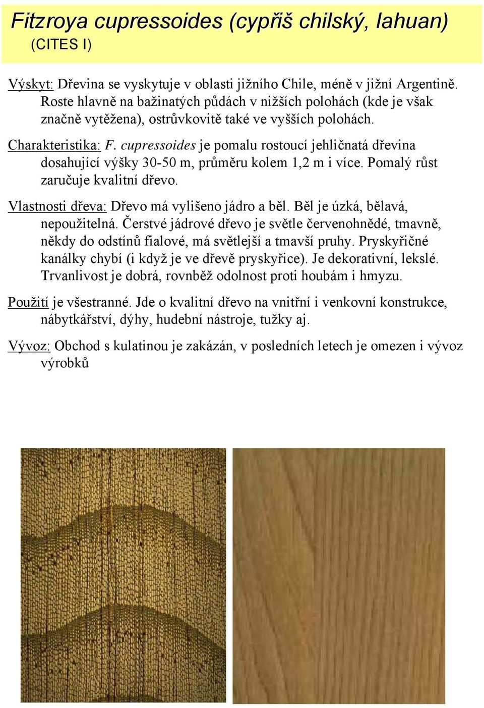 cupressoides je pomalu rostoucí jehličnatá dřevina dosahující výšky 30-50 m, průměru kolem 1,2 m i více. Pomalý růst zaručuje kvalitní dřevo. Vlastnosti dřeva: Dřevo má vylišeno jádro a běl.