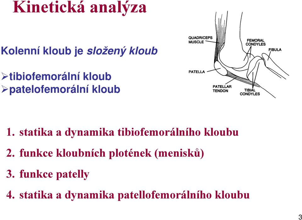 statika a dynamika tibiofemorálního kloubu 2.