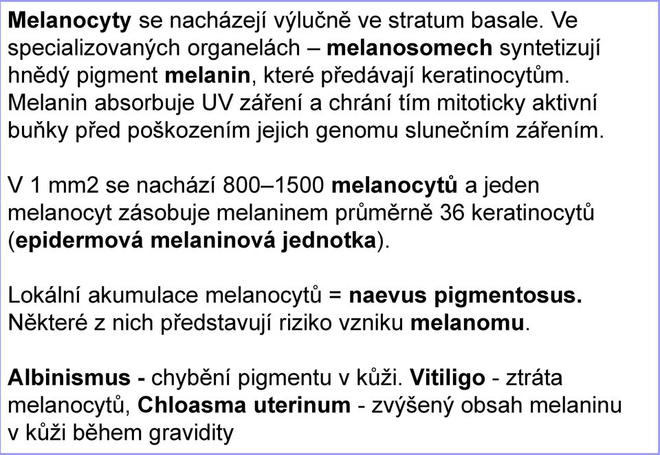 V 1 mm2 se nachází 800 1500 melanocytů a jeden melanocyt zásobuje melaninem průměrně 36 keratinocytů (epidermová melaninová jednotka).