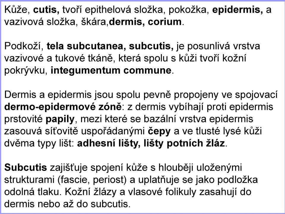 Dermis a epidermis jsou spolu pevně propojeny ve spojovací dermo-epidermové zóně: z dermis vybíhají proti epidermis prstovité papily, mezi které se bazální vrstva epidermis zasouvá