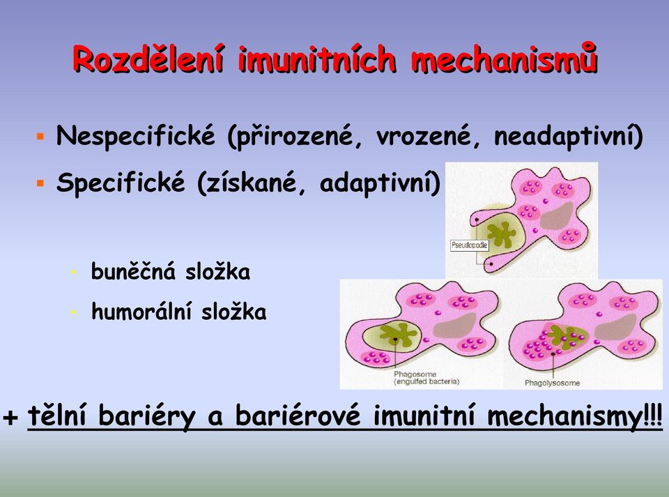 (získané, adaptivní) buněčná složka humorální