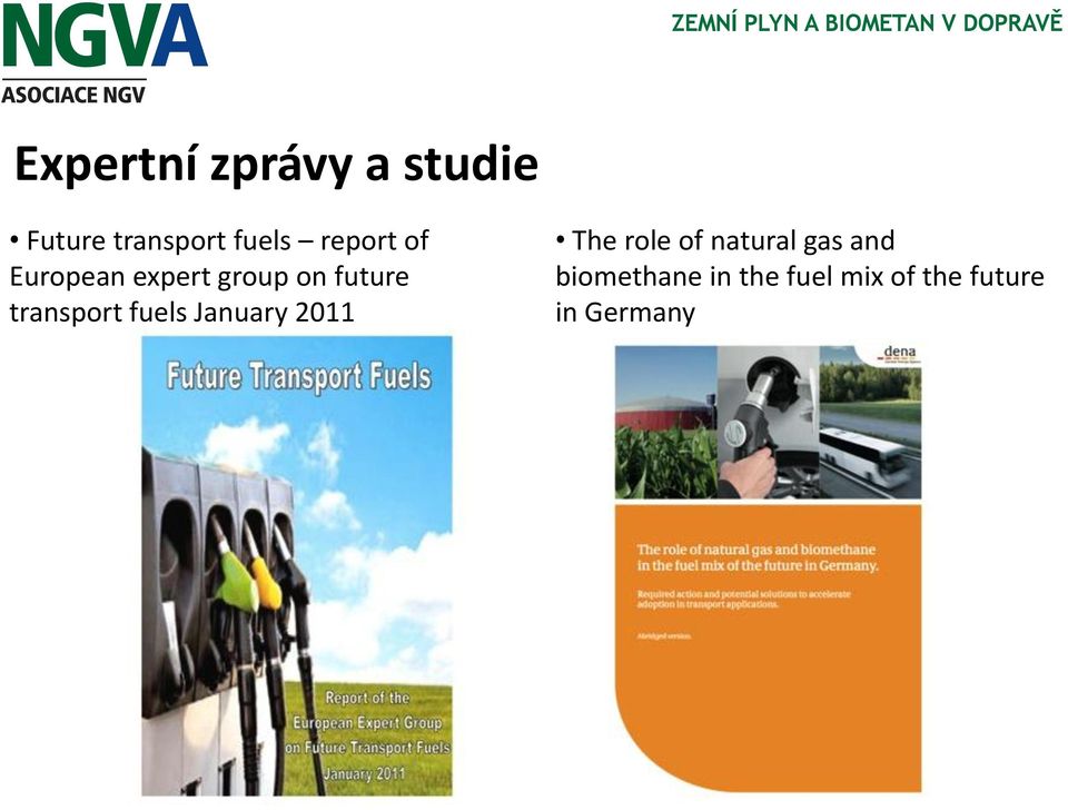 transport fuels January 2011 The role of natural