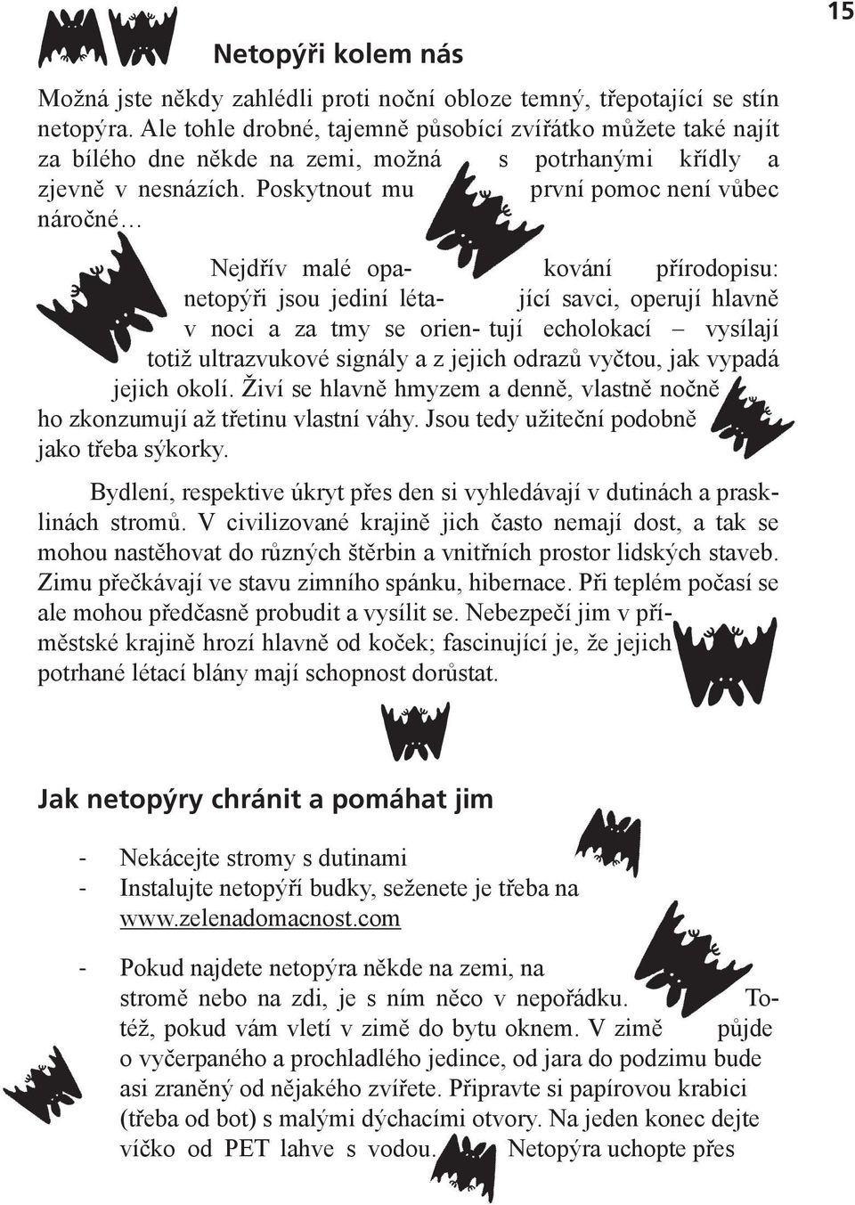 Poskytnout mu první pomoc není vůbec náročné 15 Nejdřív malé opa- kování přírodopisu: netopýři jsou jediní léta- jící savci, operují hlavně v noci a za tmy se orien- tují echolokací vysílají totiž