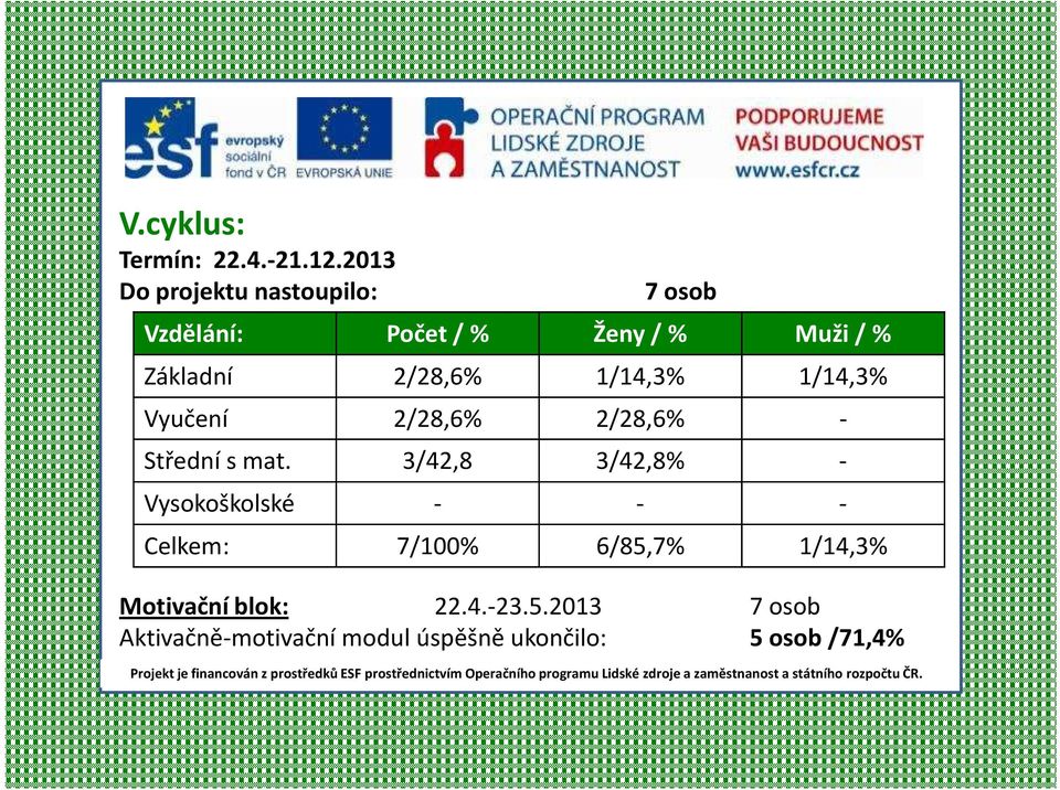 2/28,6% 1/14,3% 1/14,3% Vyučení 2/28,6% 2/28,6% - Střední s mat.