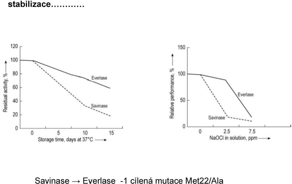 Everlase -1