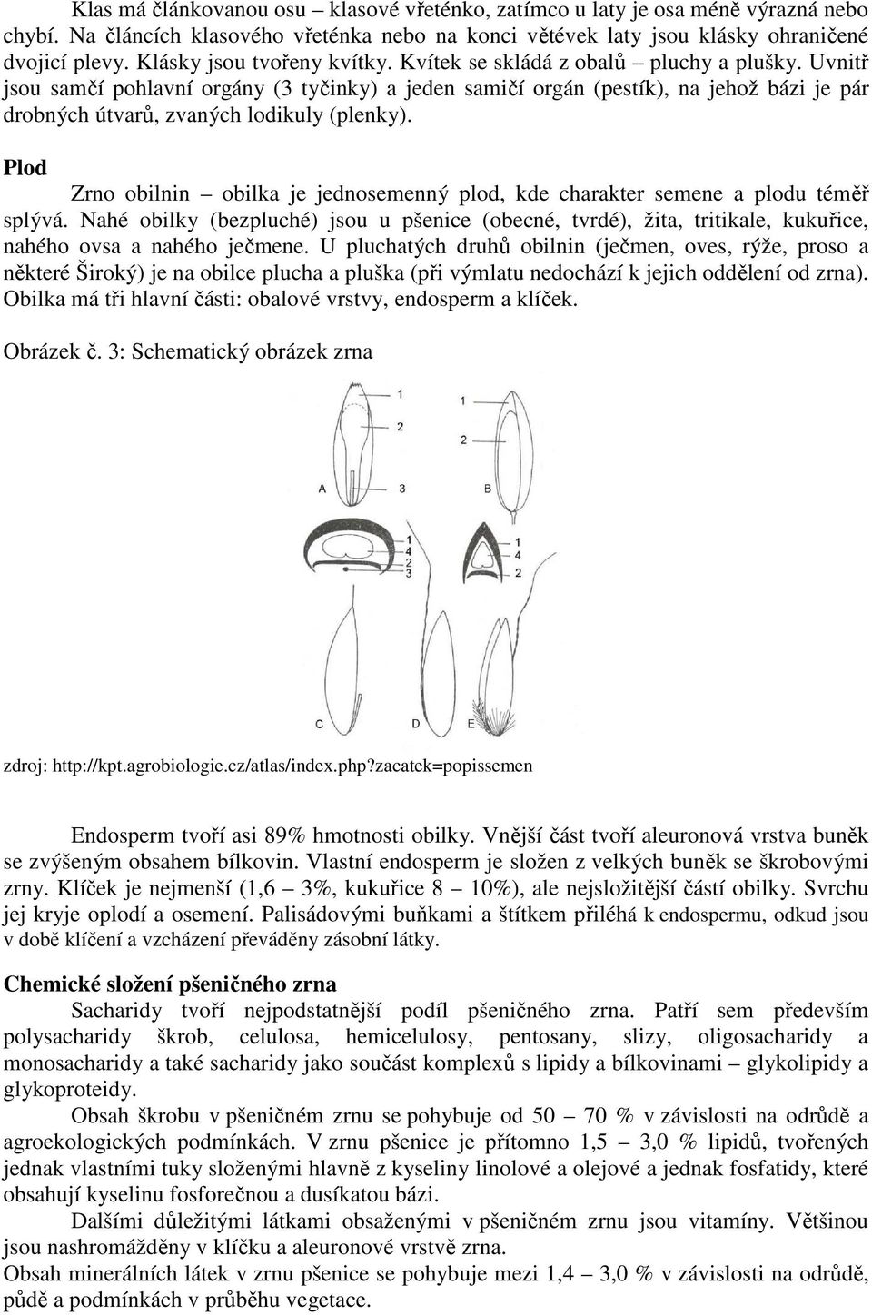 Uvnitř jsou samčí pohlavní orgány (3 tyčinky) a jeden samičí orgán (pestík), na jehož bázi je pár drobných útvarů, zvaných lodikuly (plenky).