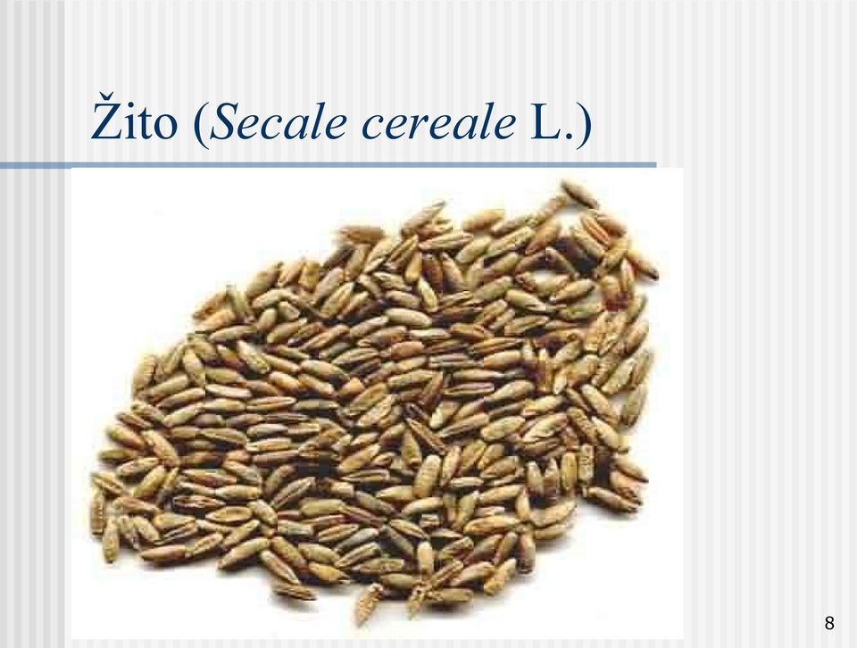 cereale L.