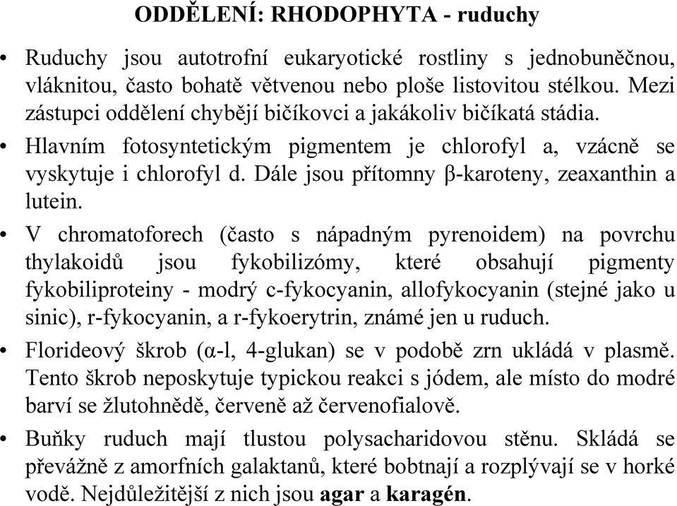 Dále jsou přítomny β-karoteny, zeaxanthin a lutein.