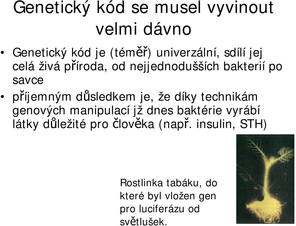 díky technikám genových manipulací jž dnes baktérie vyrábí látky d ležité pro lov ka