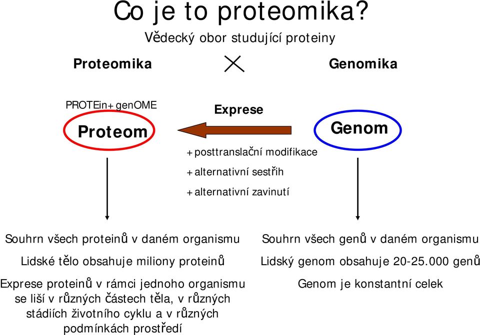 sest ih +alternativní zavinutí Genom Souhrn všech protein v daném organismu Lidské t lo obsahuje miliony protein Exprese