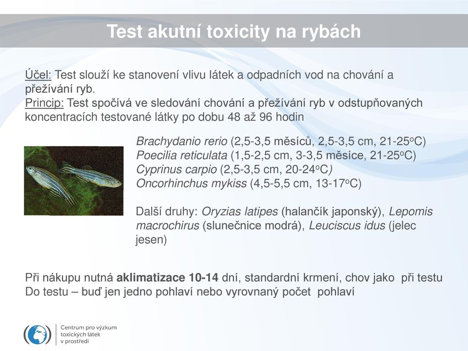 21-25 o C) Poecilia reticulata (1,5-2,5 cm, 3-3,5 měsíce, 21-25 o C) Cyprinus carpio (2,5-3,5 cm, 20-24 o C) Oncorhinchus mykiss (4,5-5,5 cm, 13-17 o C) Další druhy: Oryzias