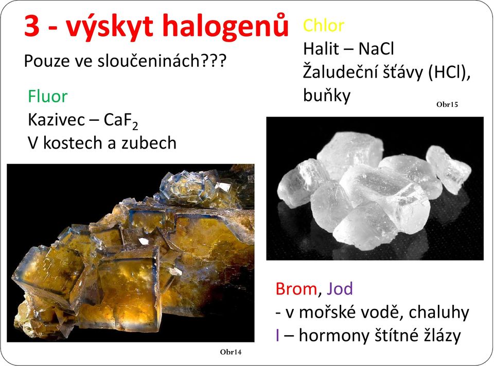 Halit NaCl Žaludeční šťávy (HCl), buňky Obr15