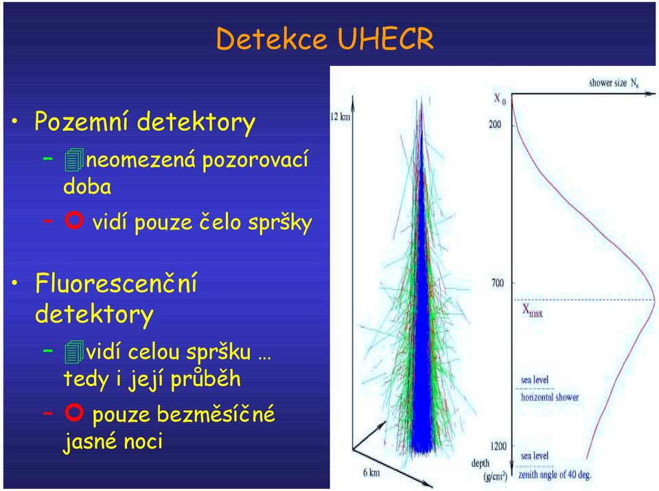 spršky Fluorescenční detektory!