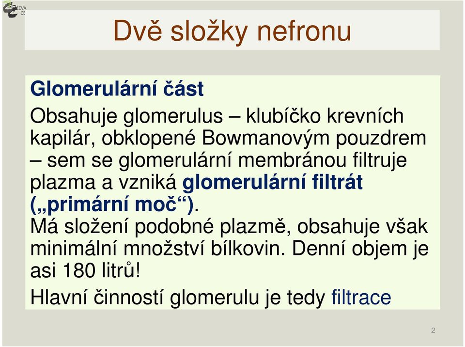 glomerulární filtrát ( primární moč ).