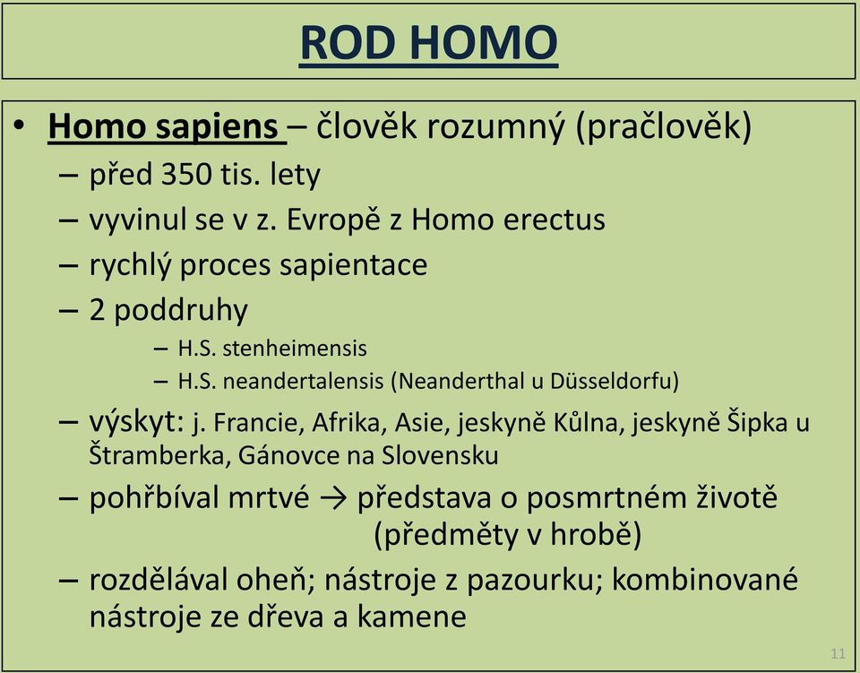 stenheimensis H.S. neandertalensis (Neanderthal u Düsseldorfu) výskyt: j.