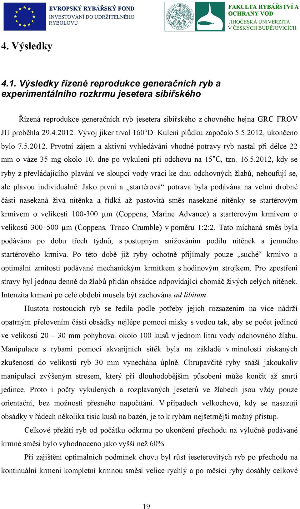 Vývoj jiker trval 160 D. Kulení plůdku započalo 5.5.2012, ukončeno bylo 7.5.2012. Prvotní zájem a aktivní vyhledávání vhodné potravy ryb nastal při délce 22 mm o váze 35 mg okolo 10.