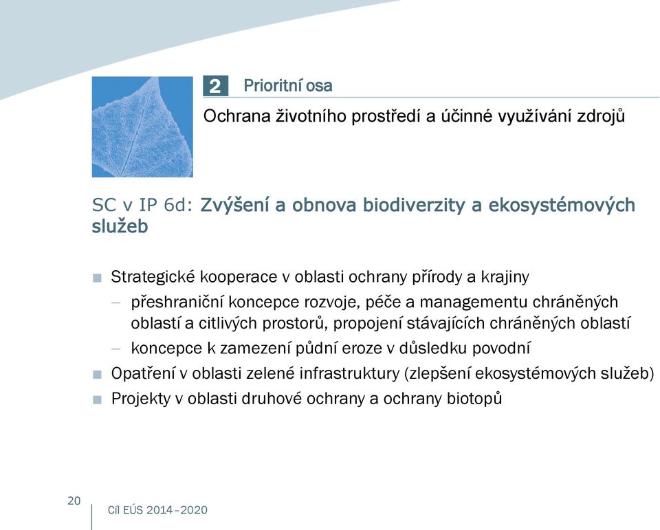 managementu chráněných oblastí a citlivých prostorů, propojení stávajících chráněných oblastí koncepce k zamezení půdní eroze