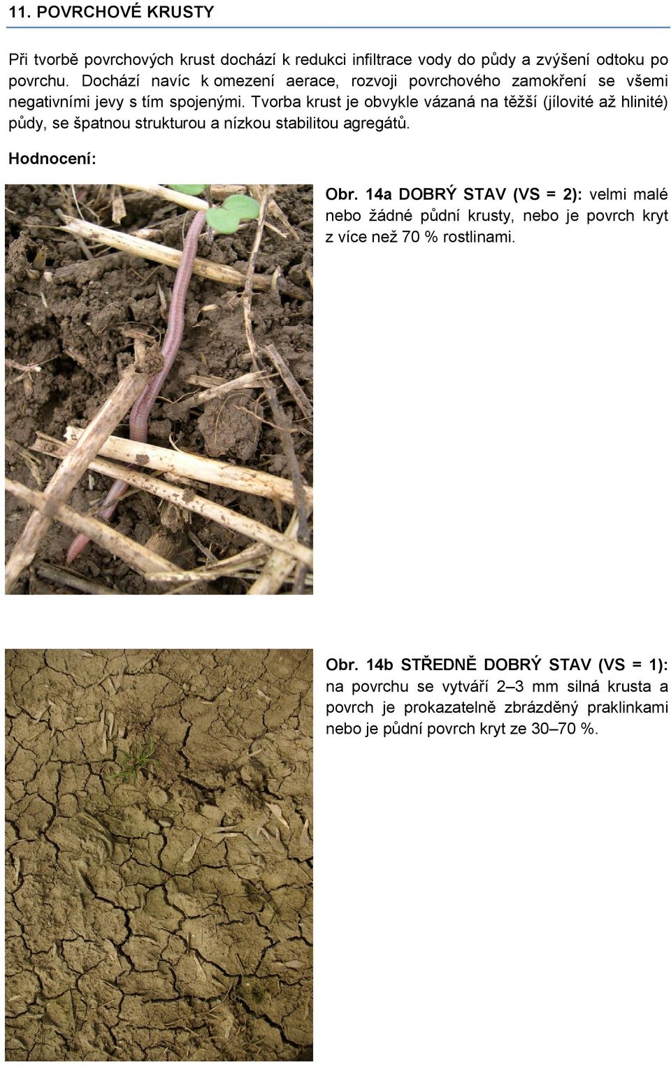 Tvorba krust je obvykle vázaná na těžší (jílovité až hlinité) půdy, se špatnou strukturou a nízkou stabilitou agregátů. Hodnocení: Obr.
