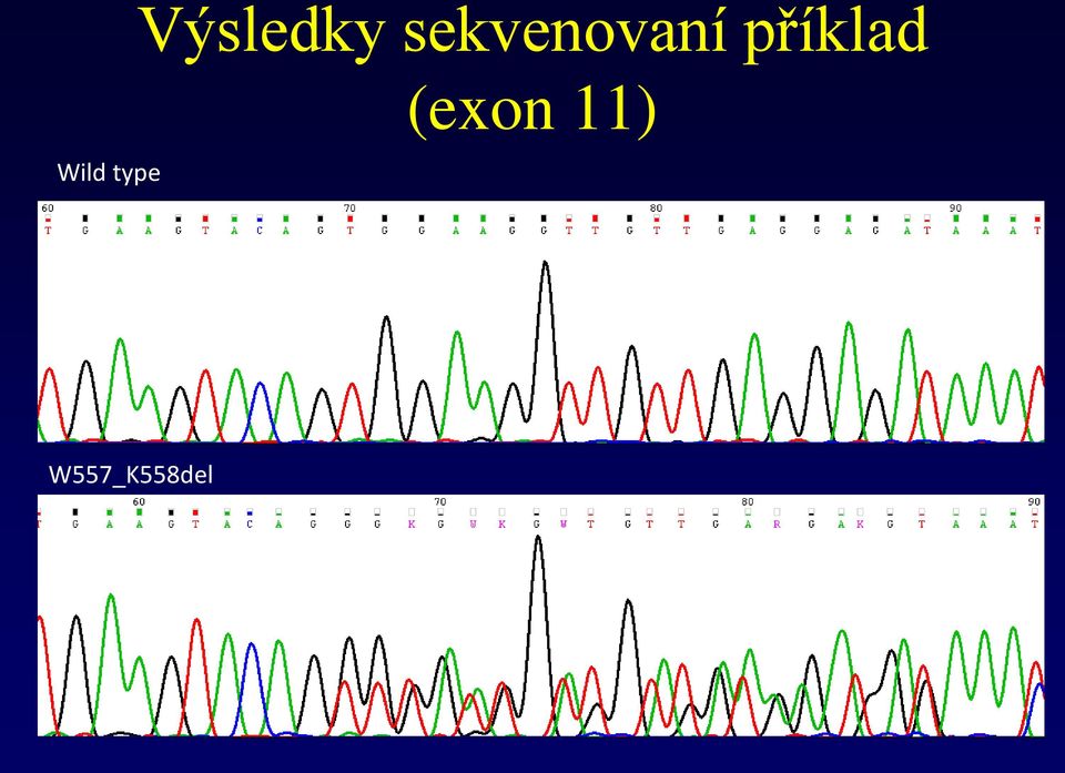 sekvenovaní