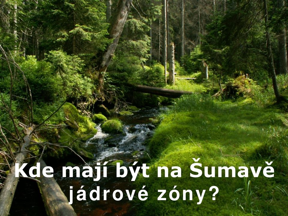 Šumavě